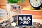 Debt mutual fund inflows plunge 77% in May, but experts remain bullish