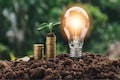 Power sector outlook 2024: Robust demand, renewables to drive growth