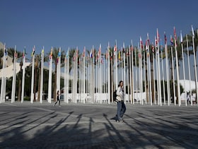 Zoomed Out | COP 28 — Why linking food systems and climate change is crucial in today's context