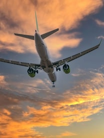 Carbon Emissions: How different methods of travel impact the environment
