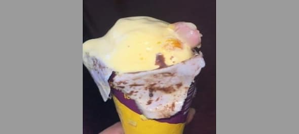 Mumbai woman orders ice cream online, discovers human finger inside it Mumbai woman orders ice cream online, discovers human finger inside it