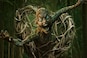 Munjya review: Neither horror nor comedy