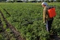 India approves sale of pesticides through e-commerce platforms