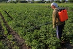 India approves sale of pesticides through e-commerce platforms