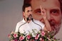 Rahul Gandhi says he's in dilemma on whether to retain Wayanad or Rae Bareli Lok Sabha seat