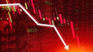 Coach-Soch | Tulip Mania — know what is this concept and how financial regulators often misinterpret it