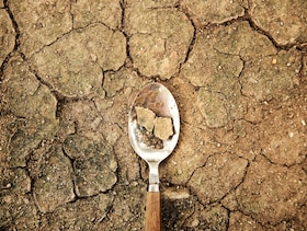 Zoomed Out | Why India’s sustainability policy needs to factor food, water and land together  