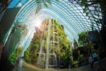 World Environment Day 2024: History, theme, significance and ways to protect the environment