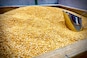 Govt concerned about availability of channa, tur dal, potatoes, onions and edible oil, PMO monitoring prices