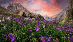 Plan a trip to the Valley of Flowers in Uttarakhand, where the weather is -2 degree Celsius at present