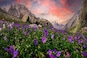 Plan a trip to the Valley of Flowers in Uttarakhand, where the weather is -2 degree Celsius at present