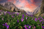 Plan a trip to the Valley of Flowers in Uttarakhand, where the weather is -2 degree Celsius at present