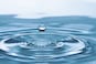 World Environment Day | How to unlock water security to revive India's degraded lands