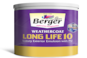 Berger Paints sees the rural markets starting to recover